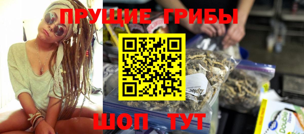 Галлюциногенные грибы Psilocybine cubensis  Псилоцибиновые грибы мицелий  Вход с VPN  Биробиджан 